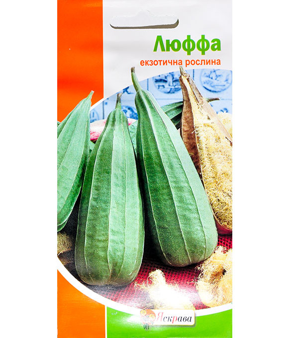 Семена Люффы Купить В Москве