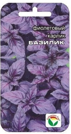 Базилик Фиолетовый 0.5гр, фото 1
