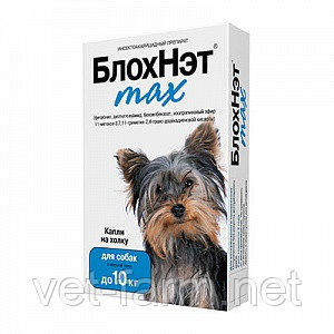 БлохНэт Мах
