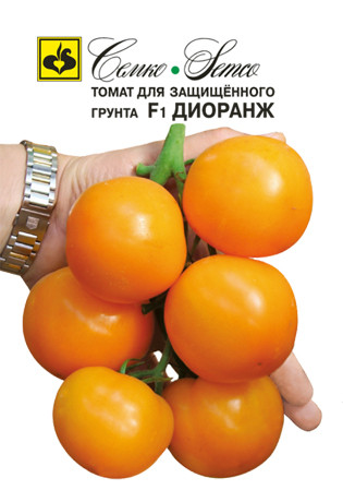 Семена томата для теплиц Диоранж F1 0,2гр (Израиль) - фото 1 - id-p89342408