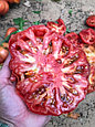 Семена томата Розовый Марманде F1 (5шт) (Израиль), фото 2