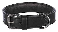 Active collar with studs, leather, M: 38–45 cm/40 mm, black