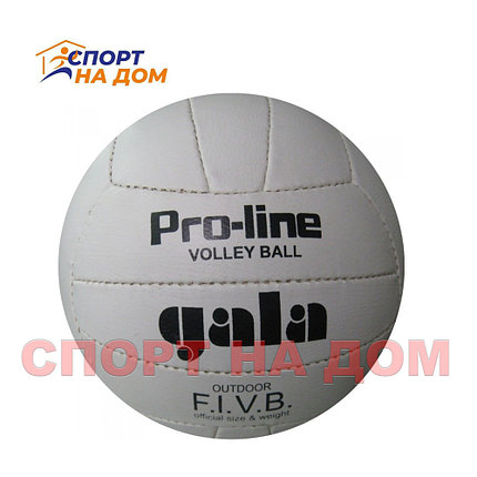 Волейбольный мяч Gala Pro-Line, фото 2