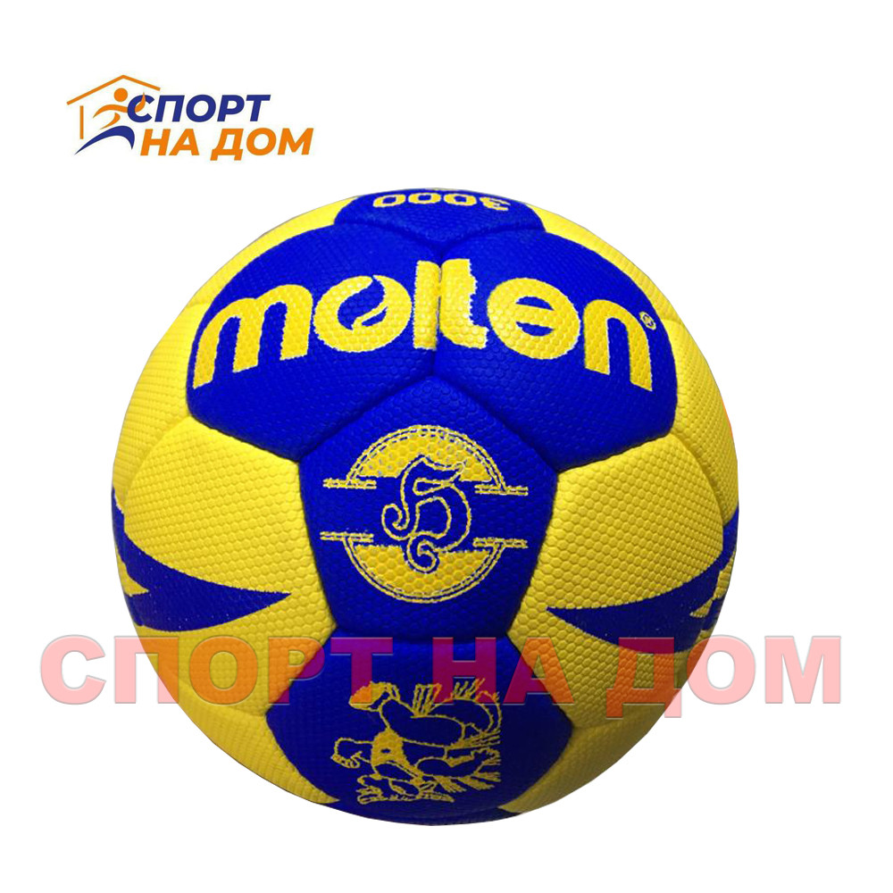 Гандбольный мяч Molton 3000