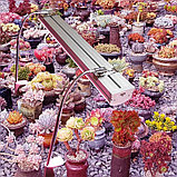 Четырехрядная линейная фитолампа 38 W полный спектр, фото 7