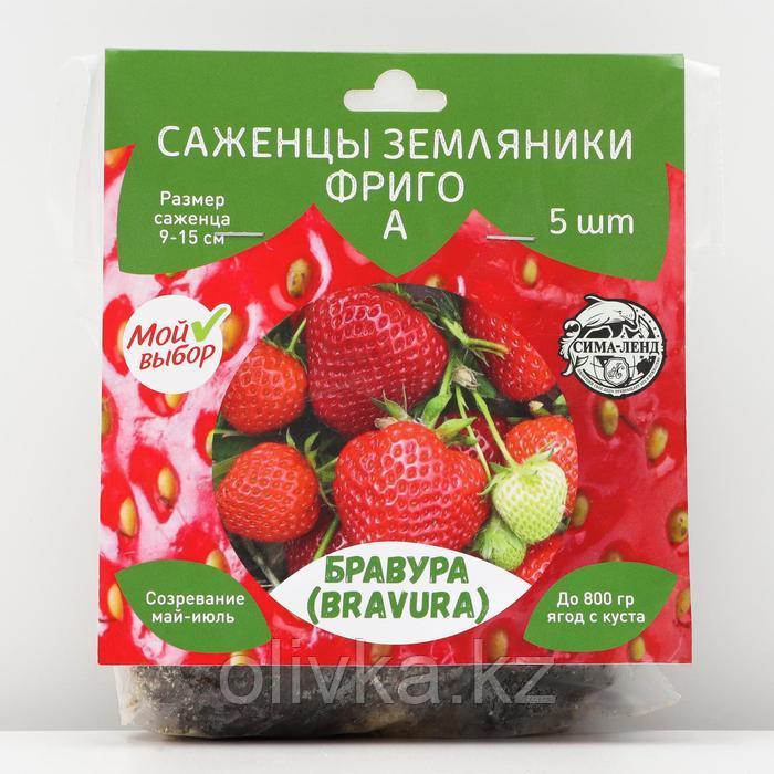 Саженец Земляники ФРИГО Бравура (Bravura) A (9-15 мм), 5 шт