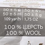 Шерсть для валяния 100% полутонкая шерсть 50гр (21 брусника) МИКС, фото 7
