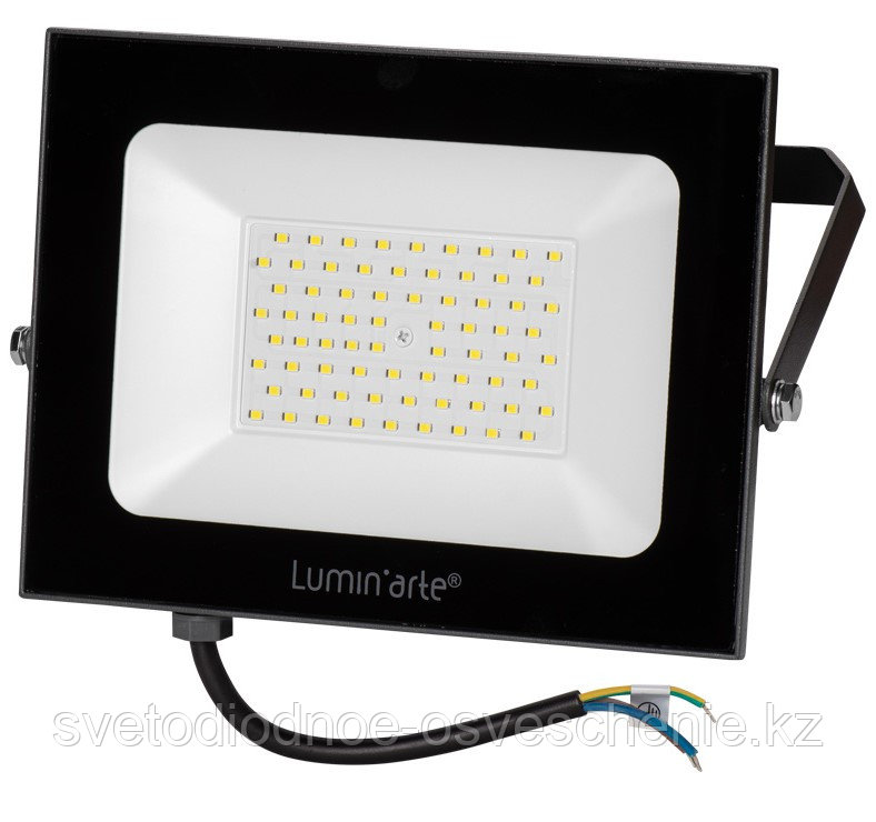 Прожектор светодиодный Lumin`arte LFL-100W/05 100Вт 5700K 7500 лм черный IP65, 1/10
