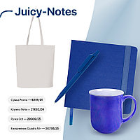 Набор подарочный JUICY-NOTES: ежедневник, ручка, кружка, сумка, синий