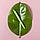 Ручка шариковая YARDEN, зеленый, натуральная пробка, пшеничная солома, ABS пластик, 13,7 см, фото 2