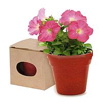 Живые подарки