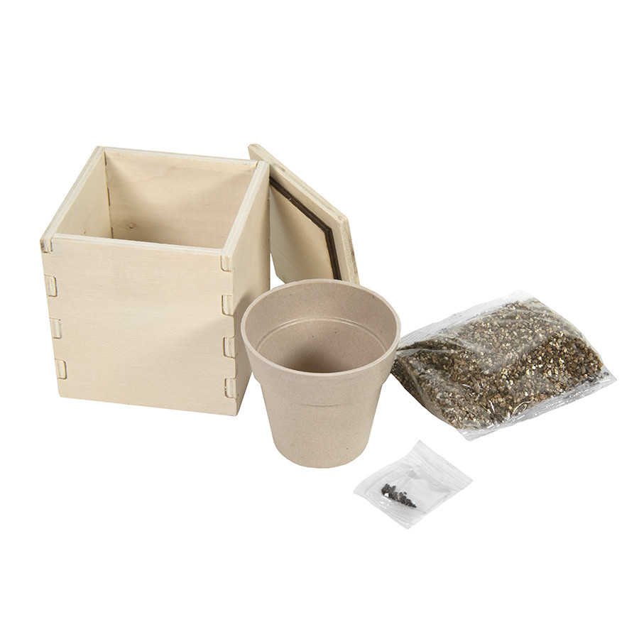 Горшочек для выращивания мяты с семенами (6-8шт) в коробке MERIN, биоразлагаемый материал, дерево, грунт - фото 5 - id-p89714499