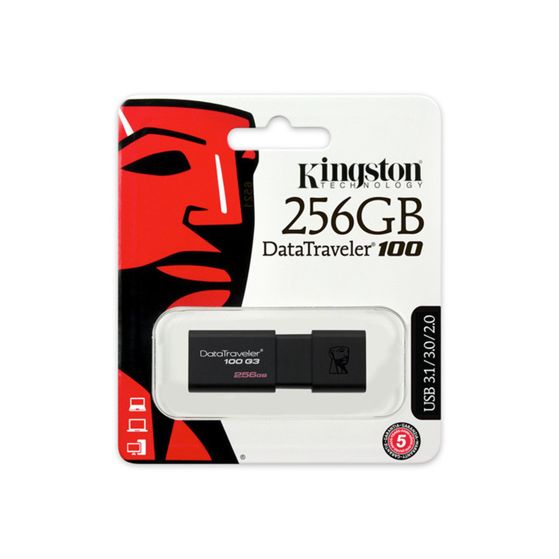 USB-накопитель Kingston DataTraveler® 100 G3 (DT100G3) 256GB
