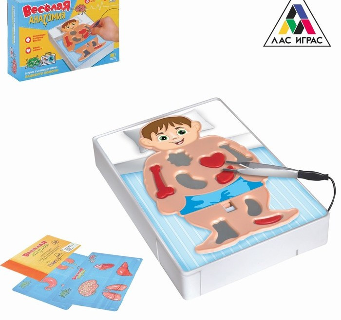 Игра «Веселая анатомия »