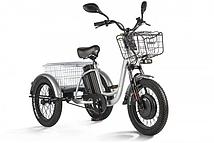 Трицикл Eltreco Porter Fat 700 (Серебристый)