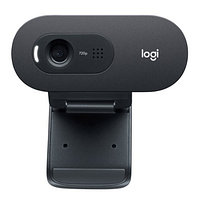 Веб-камера  Logitech C505e (960-001372), фото 1