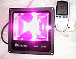 Фитолампа светодиодная для рассады и теплиц IP65 ФП-30, фото 8