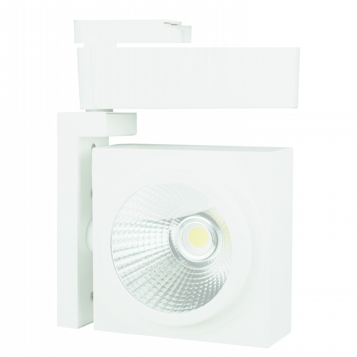 Поворотный светильник направленного освещения LED P11 30W 5700K WHITE TRACK (TEKLED) - фото 1 - id-p89888999