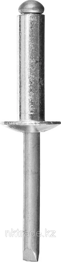 STAYER 4.8 х 12 мм, 1000 шт., заклепки алюминиевые ProFIX 31205-48-12