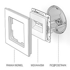 Розетка двойная Ethernet RJ-45 (белая) WL01-RJ45+RJ45, Werkel, фото 3