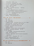 Новый практический курс китайского языка. Учебник. Том 3, фото 5