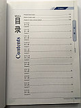 Contemporary Chinese. Современный китайский язык для начинающих. Пособие по иероглифике, фото 2