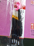 Рельефные прописи со специальной ручкой и запасными стержнями. Поэзия династий Тан и Сун, фото 3