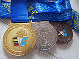 Медаль ЖАМБЫЛ ОБЛЫСЫ, есть в наличии, фото 3