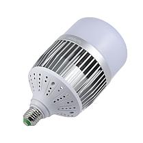 Cветодиодная лампа для постоянного света 100W, фото 2
