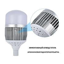 Cветодиодная лампа для постоянного света 100W, фото 3