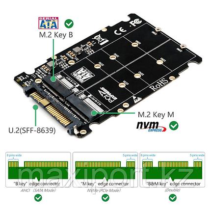 Адаптер M.2 SSD в U.2, адаптер 2 в 1 M.2 NVMe и SATA, фото 2