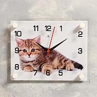 Часы настенные, серия: Животный мир, "Котенок", 20х26 см, микс