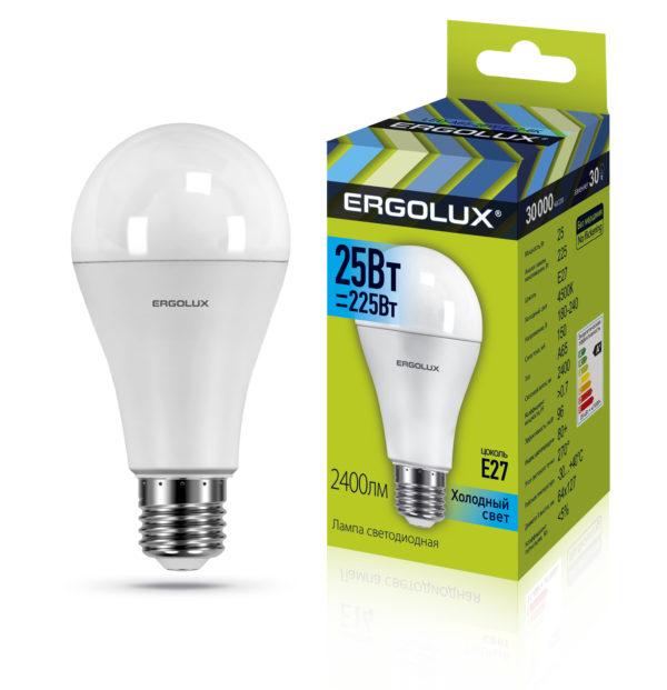 Светодиодная лампа Ergolux LED-A65-25W-E27-4K