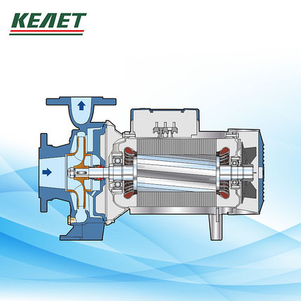 Насос F50/125C 230/400В без фланца, фото 2