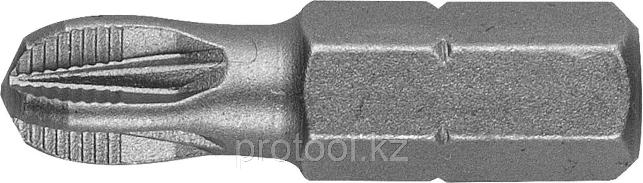 STAYER PZ3, 25 мм, 2 шт., Cr-V сталь, биты PROFI 26221-3-25-02 - фото 1 - id-p90082592