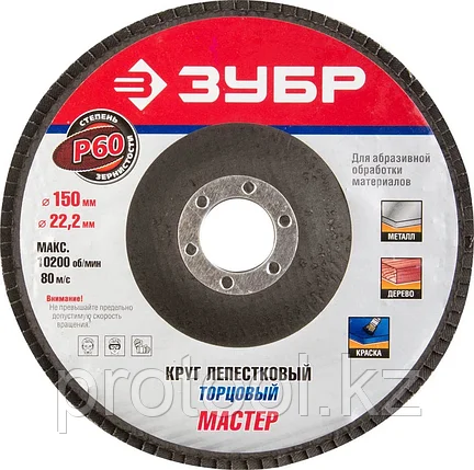 ЗУБР 150х22.2 мм, P60, круг лепестковый торцевой шлифовальный для УШМ 36592-150-60 Мастер, фото 2