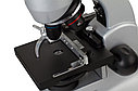 Микроскоп цифровой Levenhuk D70L, монокулярный, фото 4