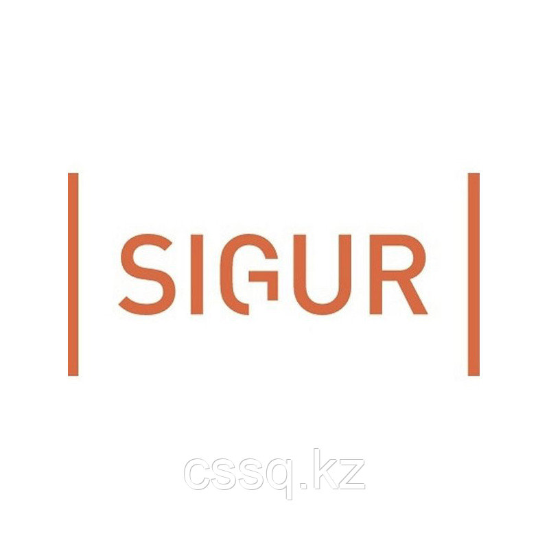 SIGUR ПО «Учет рабочего времени» Дополнительный модуль - фото 1 - id-p90124392