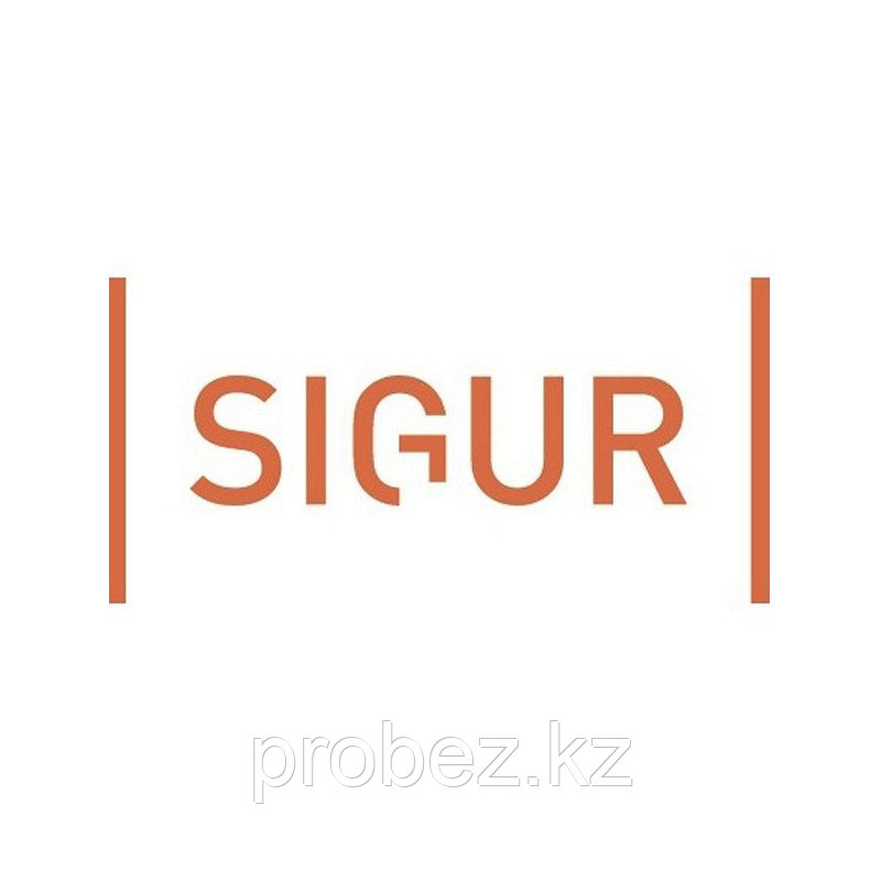 SIGUR ПО Базовый модуль ограничение до 1 000 идентификаторов