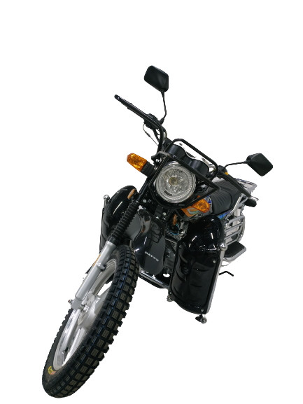 Мотоцикл DAYUN DY-200 - фото 7 - id-p90138319