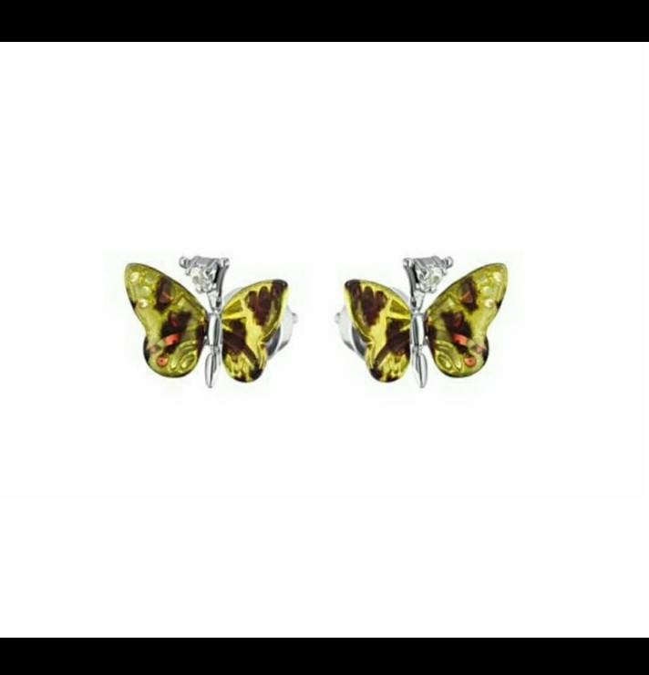 Пусеты "Monarch Batterfly" Roberto Bravo