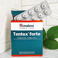 Тентекс Форте Хималая (Tentex Forte Himalaya) - для потенции, поддержания эрекции, 10 таб