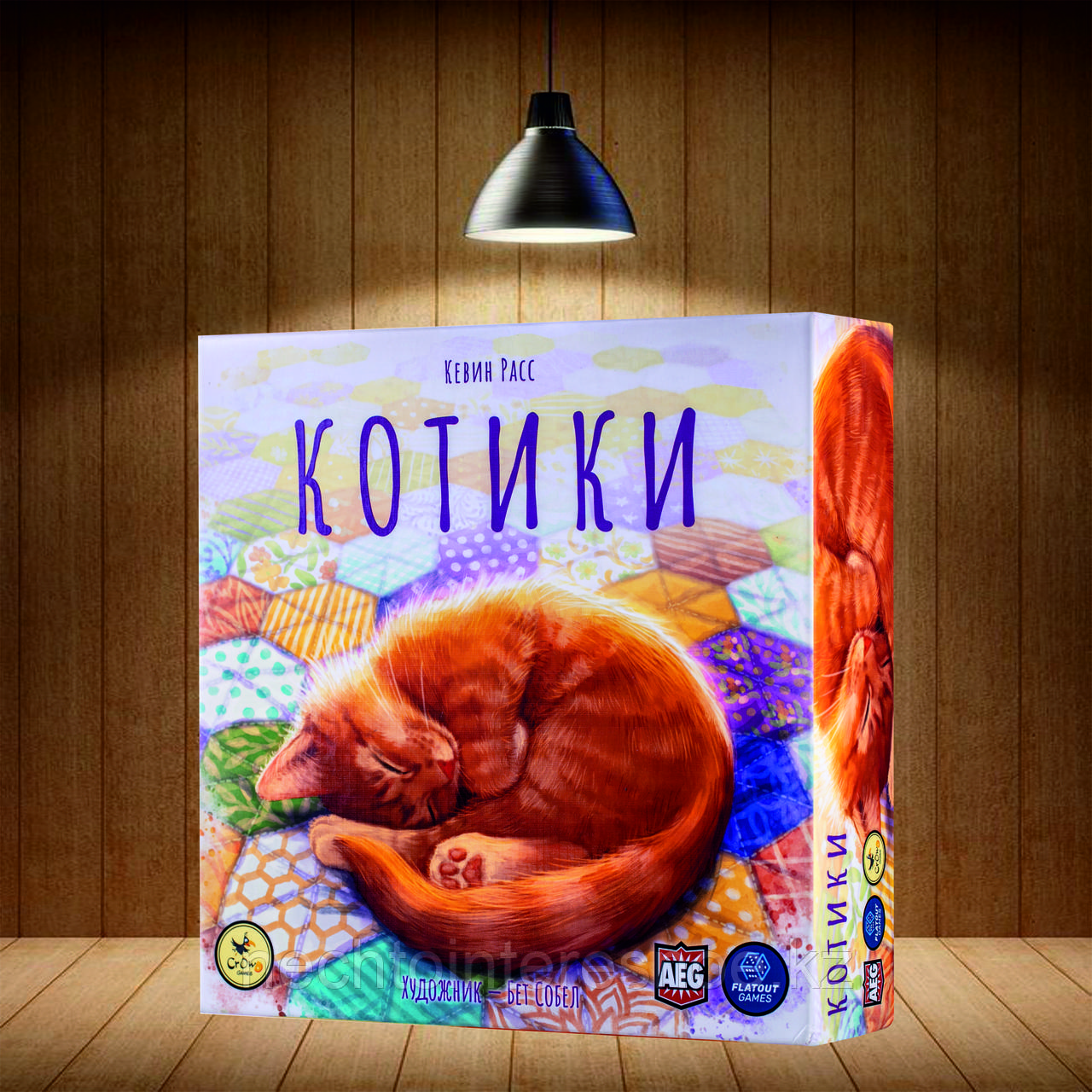 Котики
