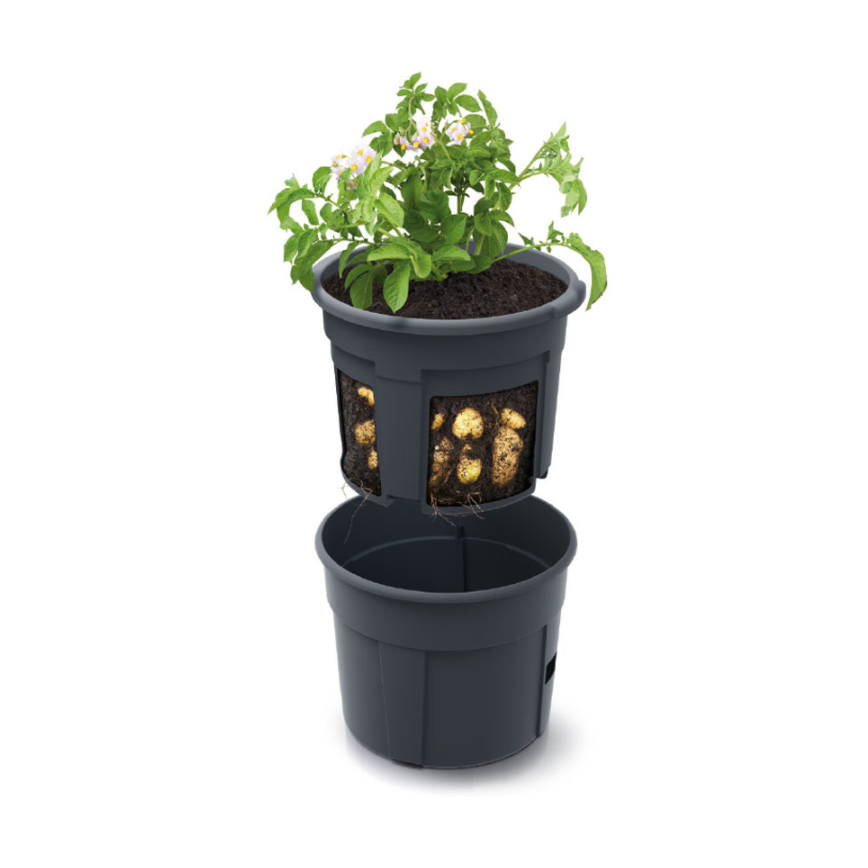 Горшок для выращивания картофеля Potato Grower 2в1 | Prosperplast