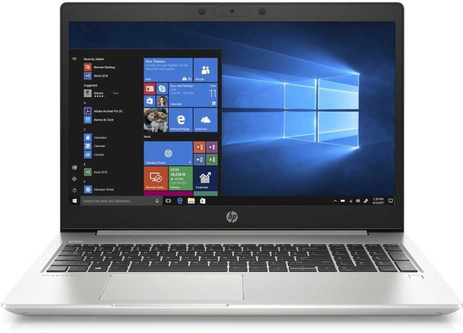 Ноутбук HP ProBook 445 G7 (7RX17AV)