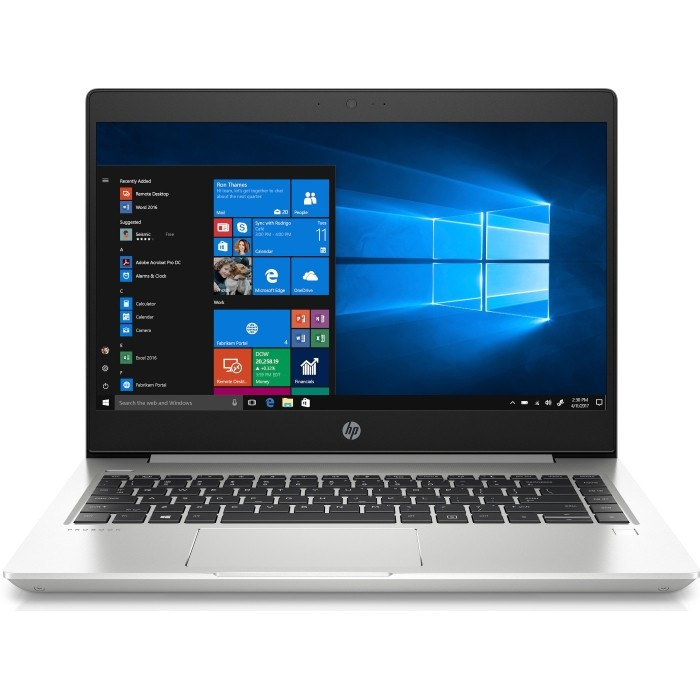 Ноутбук HP ProBook 445 G7 (1F3L0EA)