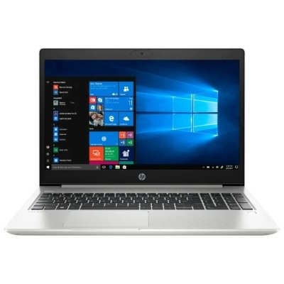 Ноутбук HP ProBook 450 G7 (255J5ES)