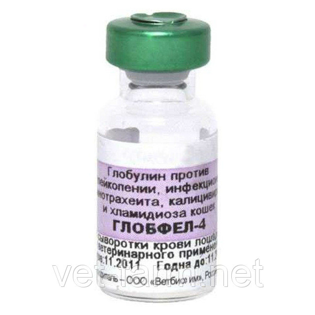Глобфел-4 глобулин для кошек. Иммунные сыворотки, препараты иммуноглобулинов. Иммуноглобулин антирабический гетерологичный. Сыворотка глобулин. Глобфел-4 сыворотка для кошек.