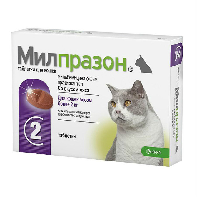 Милпразон для кошек - фото 1 - id-p90325418