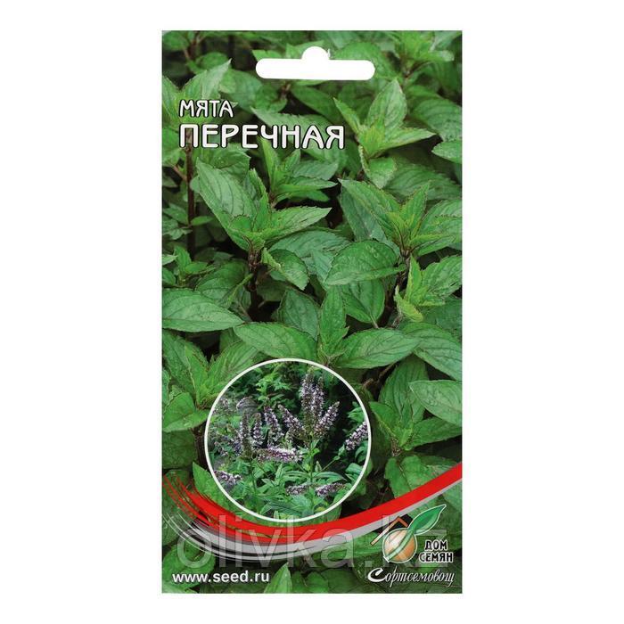 Семена Мята перечная, 300 шт
